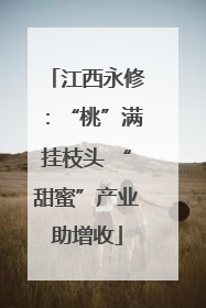 江西永修：“桃”满挂枝头 “甜蜜”产业助增收