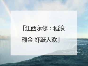 江西永修：稻浪翻金 虾跃人欢