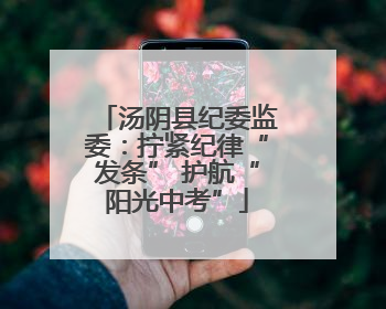 汤阴县纪委监委：拧紧纪律“发条” 护航“阳光中考”