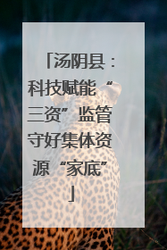 汤阴县：科技赋能“三资”监管守好集体资源“家底”