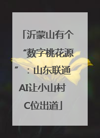 沂蒙山有个“数字桃花源”：山东联通AI让小山村C位出道