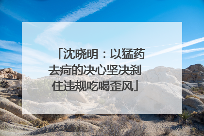 沈晓明：以猛药去疴的决心坚决刹住违规吃喝歪风