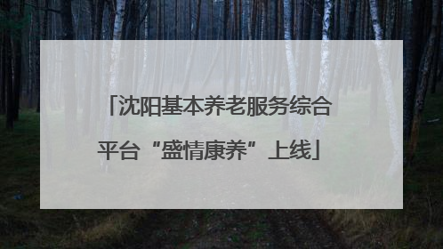 沈阳基本养老服务综合平台“盛情康养”上线