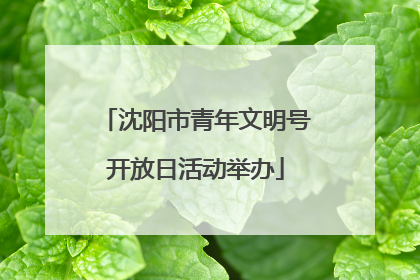 沈阳市青年文明号开放日活动举办