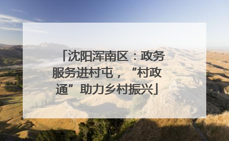 沈阳浑南区：政务服务进村屯，“村政通”助力乡村振兴