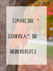 沙河口区“以球育人”铸就教育名片