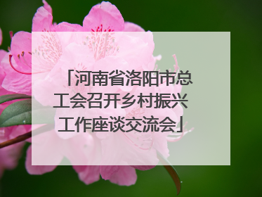 河南省洛阳市总工会召开乡村振兴工作座谈交流会