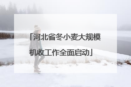 河北省冬小麦大规模机收工作全面启动
