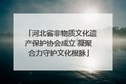 河北省非物质文化遗产保护协会成立 凝聚合力守护文化根脉