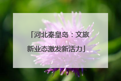 河北秦皇岛：文旅新业态激发新活力