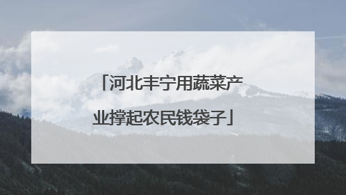 河北丰宁用蔬菜产业撑起农民钱袋子