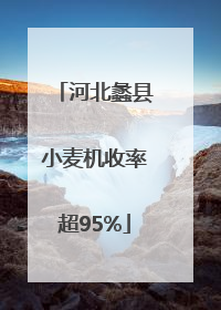 河北蠡县小麦机收率超95%