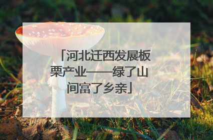 河北迁西发展板栗产业——绿了山间富了乡亲