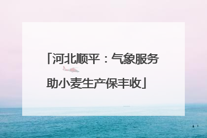 河北顺平：气象服务助小麦生产保丰收