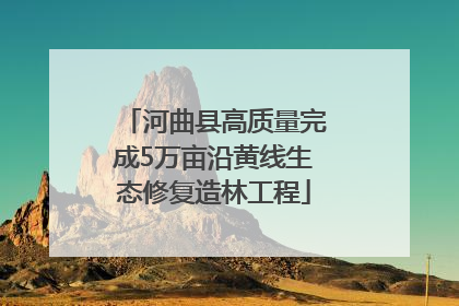 河曲县高质量完成5万亩沿黄线生态修复造林工程