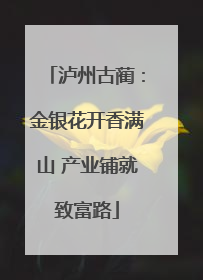 泸州古蔺：金银花开香满山 产业铺就致富路
