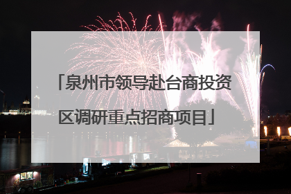 泉州市领导赴台商投资区调研重点招商项目