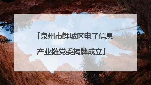 泉州市鲤城区电子信息产业链党委揭牌成立