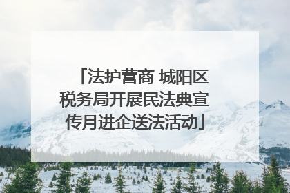 法护营商 城阳区税务局开展民法典宣传月进企送法活动