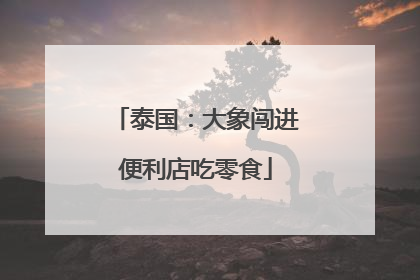 泰国：大象闯进便利店吃零食