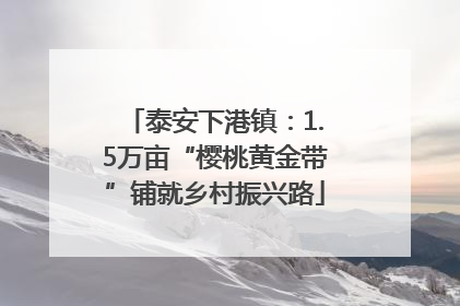 泰安下港镇：1.5万亩“樱桃黄金带”铺就乡村振兴路