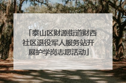 泰山区财源街道财西社区退役军人服务站开展护学岗志愿活动