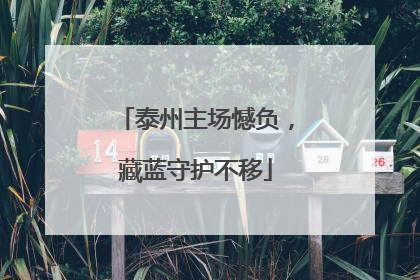 泰州主场憾负，藏蓝守护不移