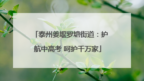 泰州姜堰罗塘街道：护航中高考 呵护千万家