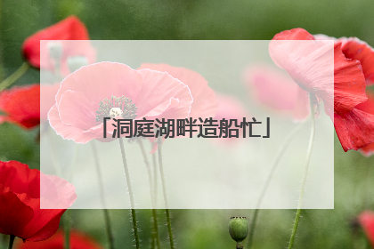 洞庭湖畔造船忙