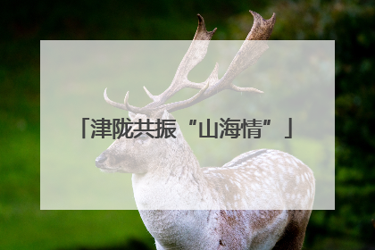 津陇共振“山海情”