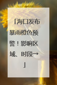 海口发布暴雨橙色预警！影响区域、时段→
