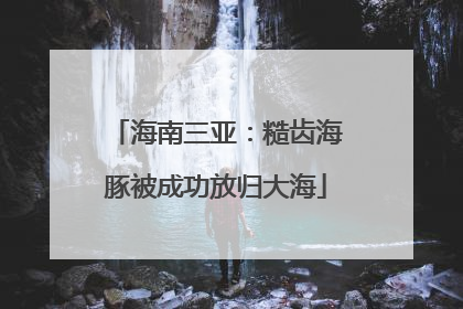 海南三亚：糙齿海豚被成功放归大海