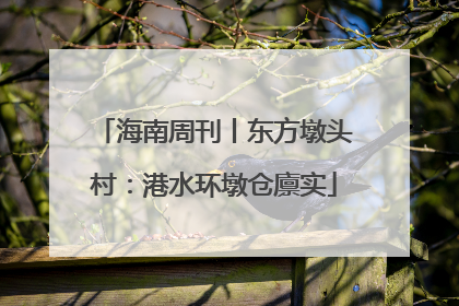 海南周刊丨东方墩头村：港水环墩仓廪实