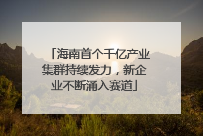 海南首个千亿产业集群持续发力，新企业不断涌入赛道