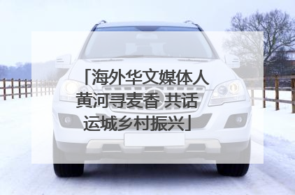 海外华文媒体人黄河寻麦香 共话运城乡村振兴