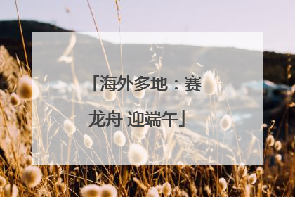 海外多地：赛龙舟 迎端午