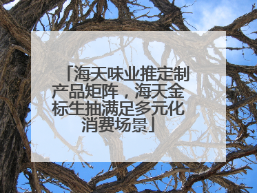 海天味业推定制产品矩阵，海天金标生抽满足多元化消费场景