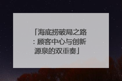 海底捞破局之路：顾客中心与创新源泉的双重奏