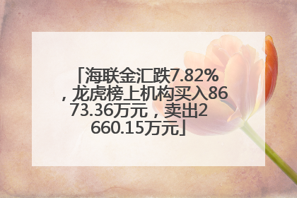 海联金汇跌7.82%，龙虎榜上机构买入8673.36万元，卖出2660.15万元
