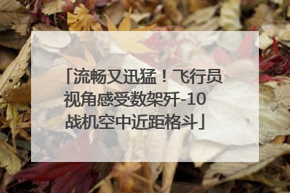 流畅又迅猛！飞行员视角感受数架歼-10战机空中近距格斗