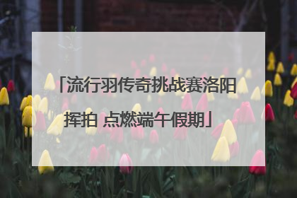 流行羽传奇挑战赛洛阳挥拍 点燃端午假期