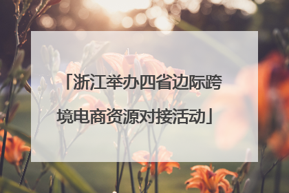 浙江举办四省边际跨境电商资源对接活动