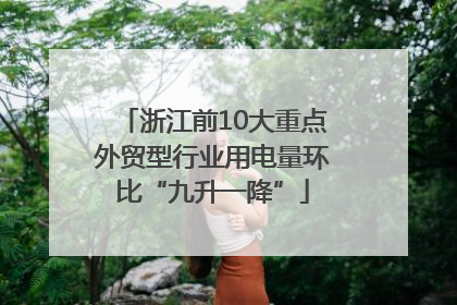 浙江前10大重点外贸型行业用电量环比“九升一降”