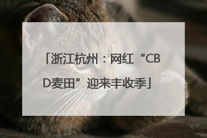 浙江杭州：网红“CBD麦田”迎来丰收季