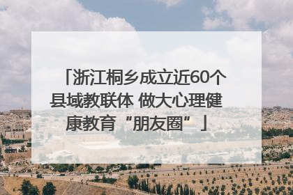 浙江桐乡成立近60个县域教联体 做大心理健康教育“朋友圈”