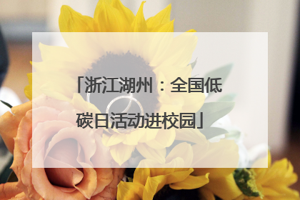 浙江湖州：全国低碳日活动进校园