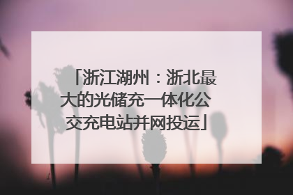 浙江湖州：浙北最大的光储充一体化公交充电站并网投运