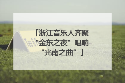 浙江音乐人齐聚“金东之夜”唱响“光南之曲”