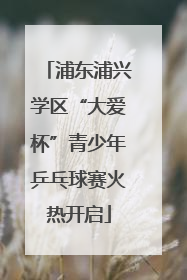 浦东浦兴学区“大爱杯”青少年乒乓球赛火热开启