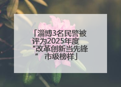 淄博3名民警被评为2025年度“改革创新当先锋” 市级榜样
